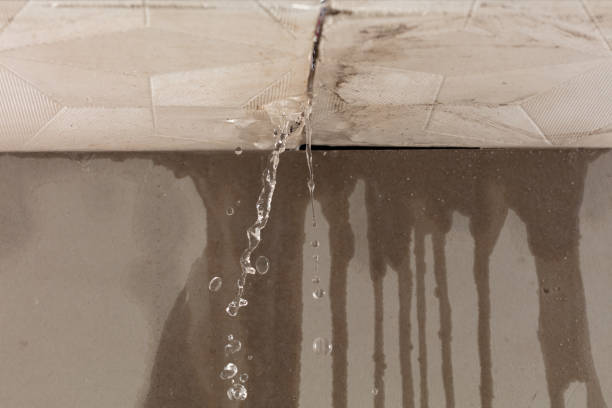 Professional Water Extraction technician working in Rhododendron, OR